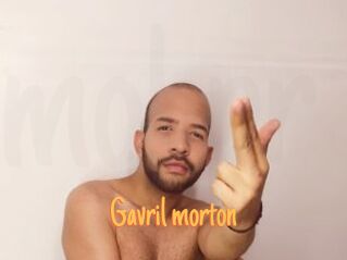 Gavril_morton