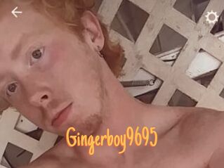 Gingerboy9695