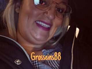 Grosseins88