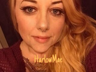 HarlowMae