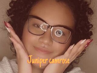 Juniper_camrose