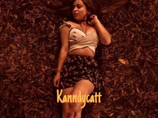 Kanndycatt