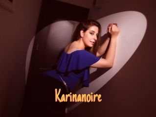 Karinanoire