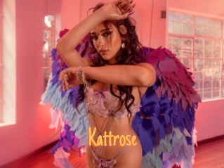 Kattrose