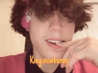 Kingsnowbunny