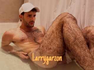 Larrygarzon