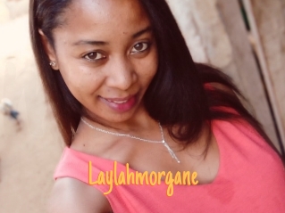 Laylahmorgane