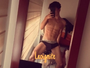 Leoignite