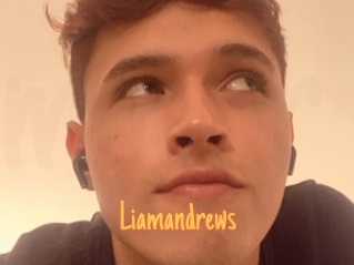 Liamandrews