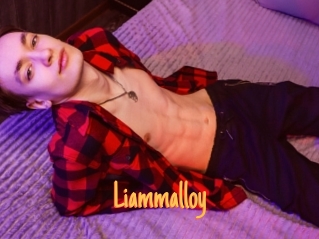 Liammalloy