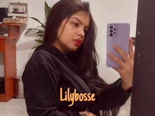 Lilybosse