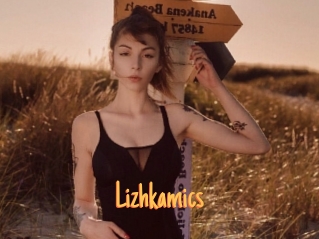 Lizhkamics