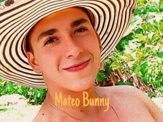 Mateo_Bunny