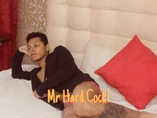 Mr_Hard_Cock1