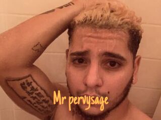 Mr_pervysage