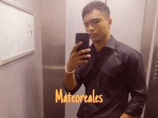 Mateoreales