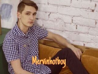 Mervinhotboy