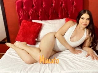 Miacato