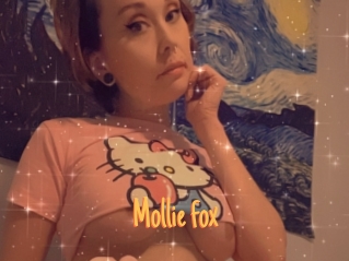 Mollie_fox