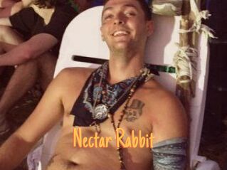 Nectar_Rabbit