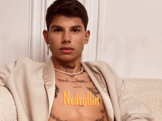 Nedfollin