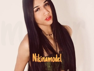 Nikinamodel