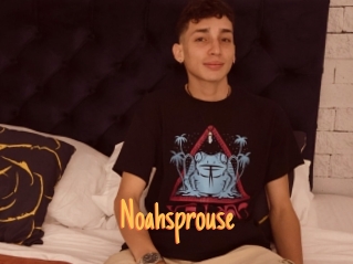 Noahsprouse