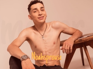 Noahsprouse