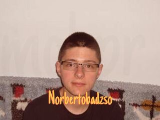 Norbertobadzso