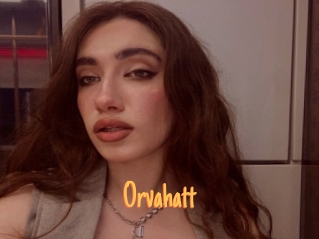 Orvahatt