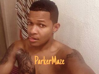 Parker_Maze