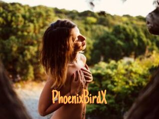 PhoenixBirdX