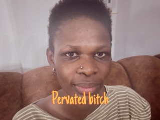 Pervated_bitch