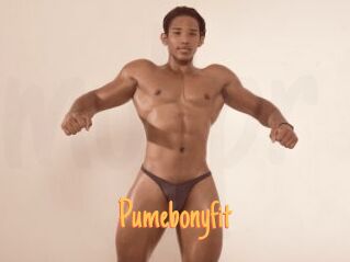 Pumebonyfit