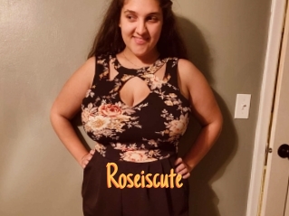 Roseiscute