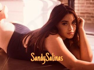 SandySalinas