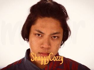 ShaggyCozzy