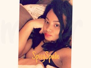 SpicySpade