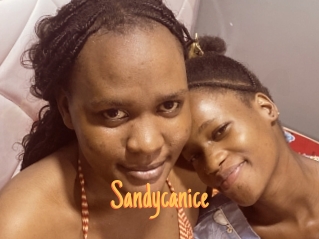 Sandycanice