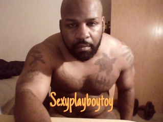 Sexyplayboytoy