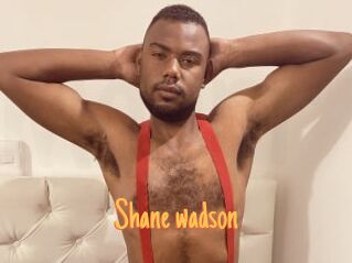 Shane_wadson