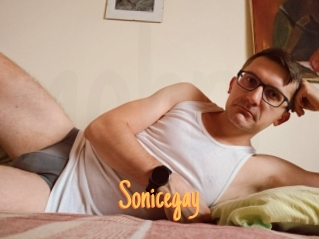 Sonicegay