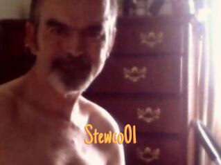 Stewco01