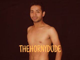 THEHORNYDUDE