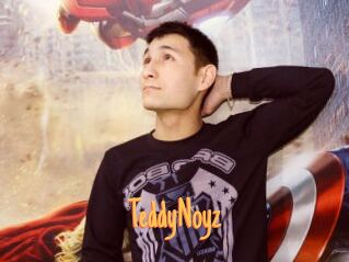 TeddyNoyz