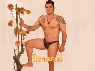 Thormuscle1
