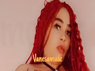 Vanesamude