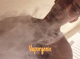 Vapor_genie