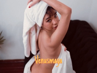 Venusmaya