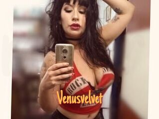 Venusvelvet